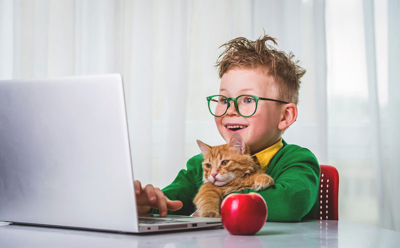 elementary age boy with cat doing school work on a laptop at home