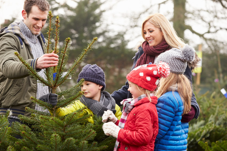 family picking out a Christmas tree