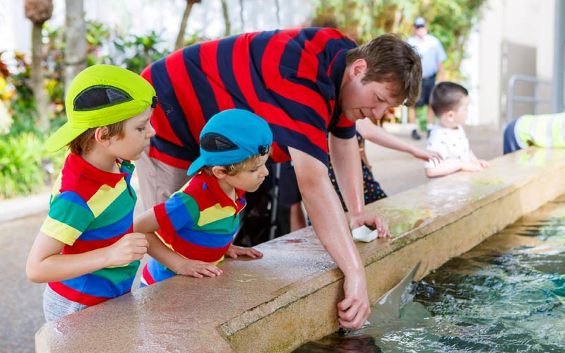 father helping with school classroom field trip