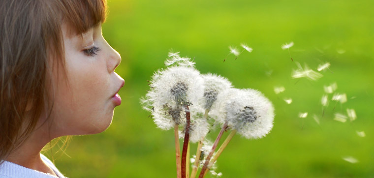 girl blowing dandelions