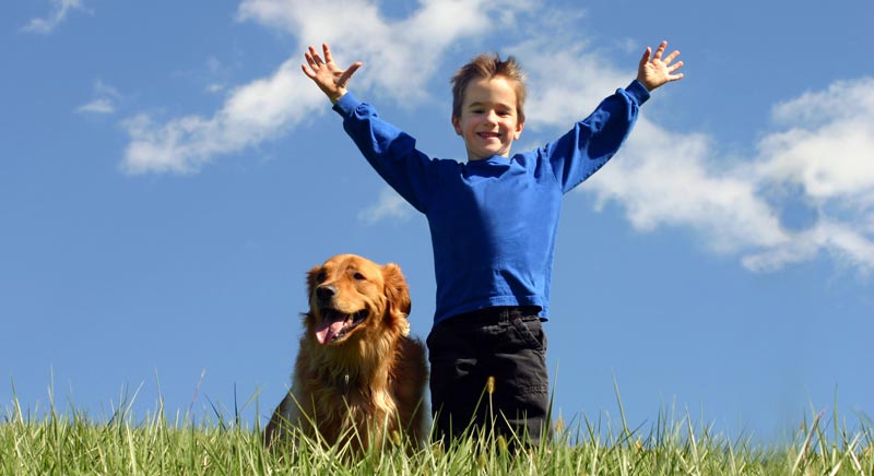 happy boy with his dog on the green grass