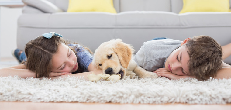 kids sleeping with dog on floor rug
