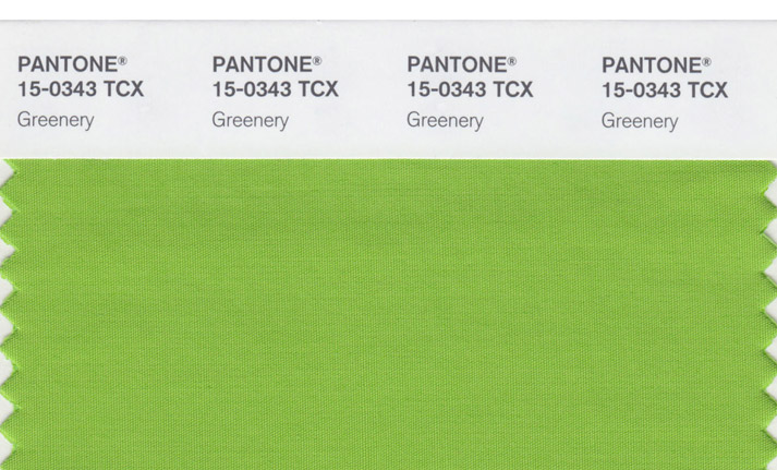 Pantone color of the year