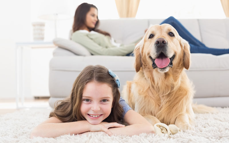 little girl on floor with dog and mom on couch
