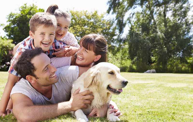 parents with two kids and dog on the grass