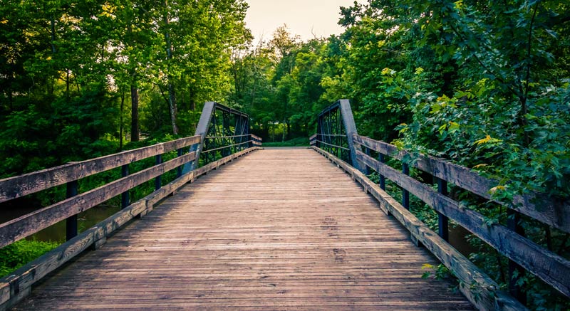 rustic wooden walkway bridge beside green trees