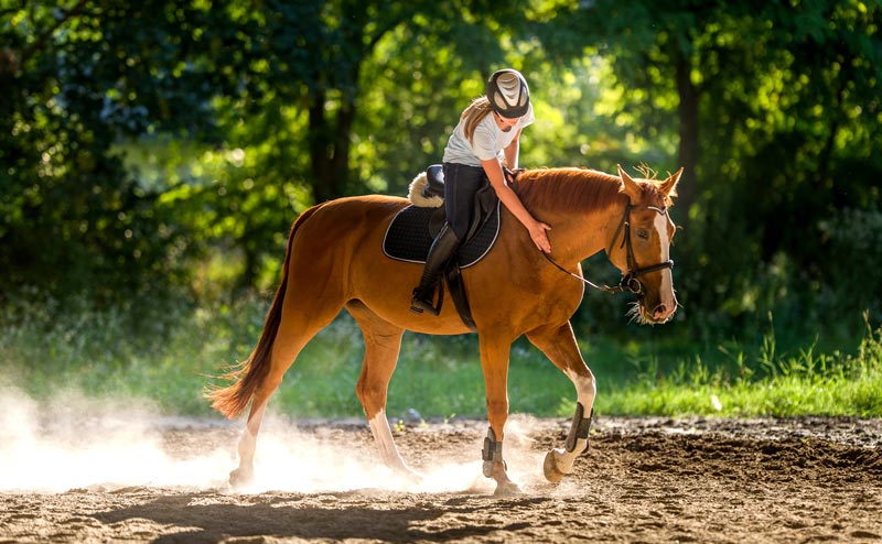 teen girl riding on a horse
