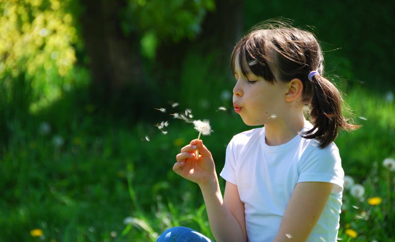 young girl blowing seeds from a dandelion flower